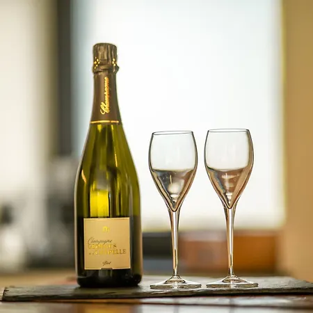 Le Fermage - Avec Piscine, Sauna Et Jacuzzi * Vincon